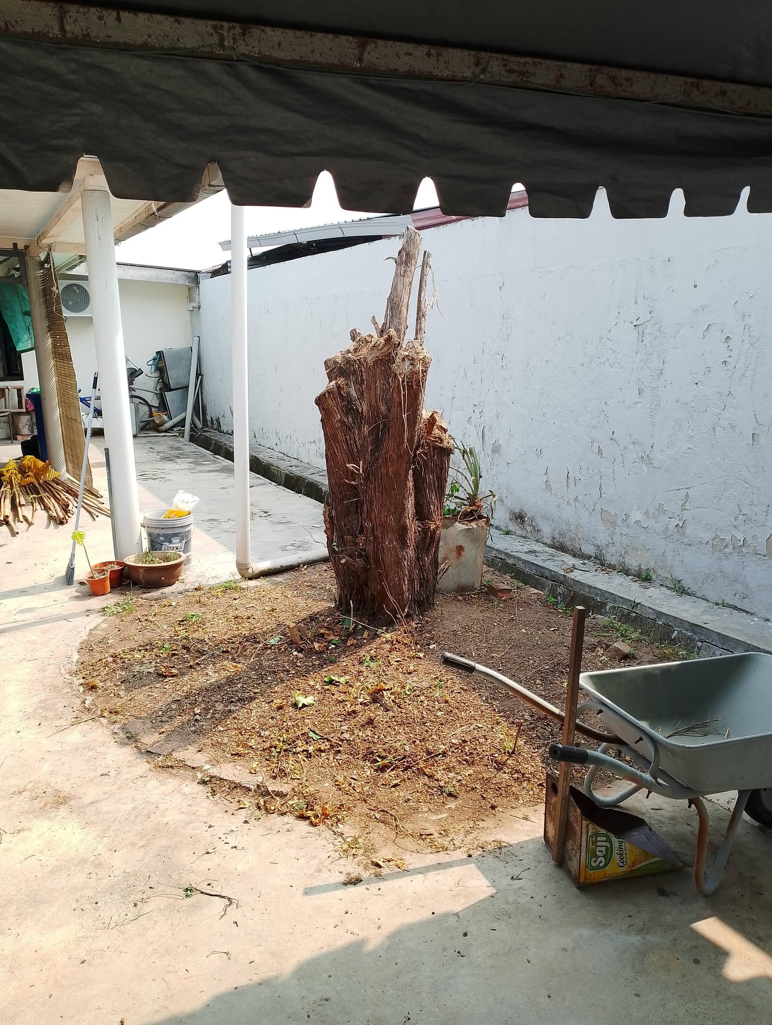 Kawasan halaman di bawah khemah dengan tunggul pokok dan kereta sorong semasa persiapan kenduri.